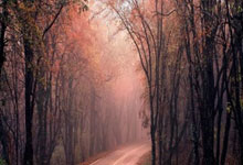 威廉希尔：拉坦齐奥：深圳有良好氛围 有强烈意愿建设球队.