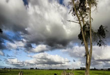 西甲身价更新：姆巴佩回涨佩德里新高 小蜘蛛迫近亿欧.