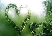 昔日体坛明星今何在？六位名将退役后的命运转折.