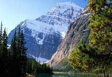 威廉希尔：贝林：皇马是我的完美俱乐部，相信未来10-15年我会在这效力.