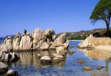 昔日体坛明星今何在?六位名将退役后的命运转折.